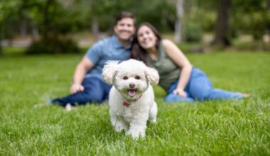 San Diego Magazine's Cutest Pets Contest 2025 winners featuring photography from Allison Shamrell Pet Photography