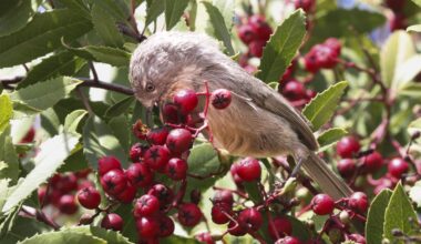 You have the ability to help Mission Trails Regional Park 