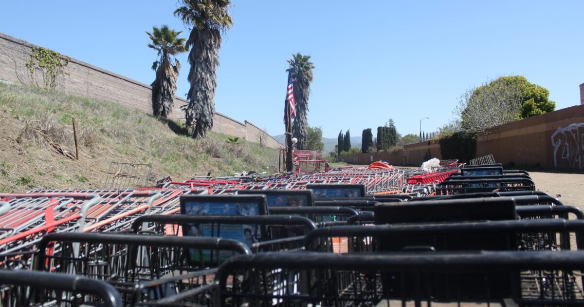 San Jose shopping cart crackdown could be costly