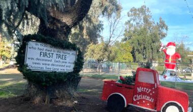 Science Mixed With Holiday Magic Safeguards Century-old Legacy of ‘Christmas Tree Lane’