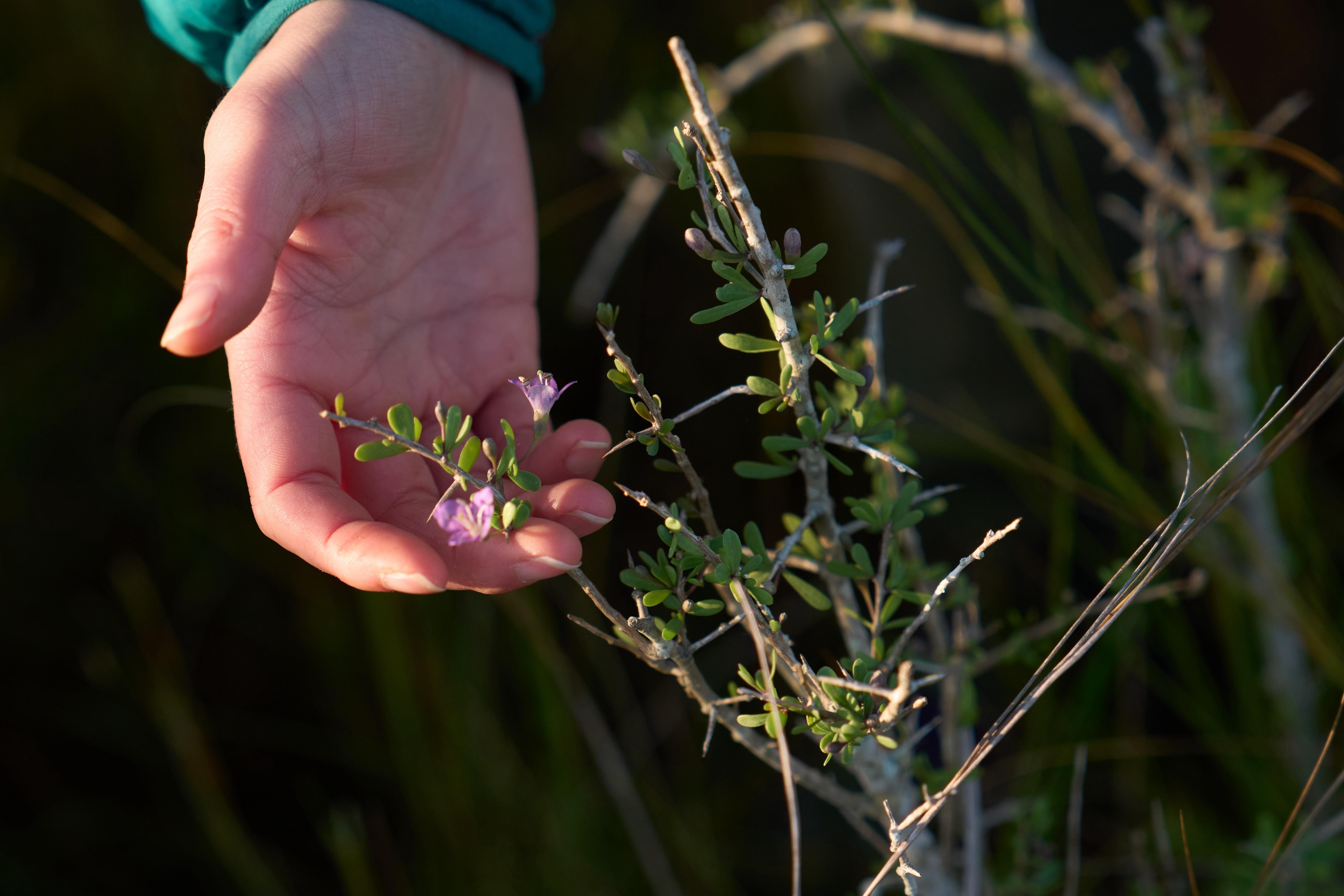 Katie Fernald, Wetland/Rangeland Ecologist, International Crane Foundation, holds a Carolina...