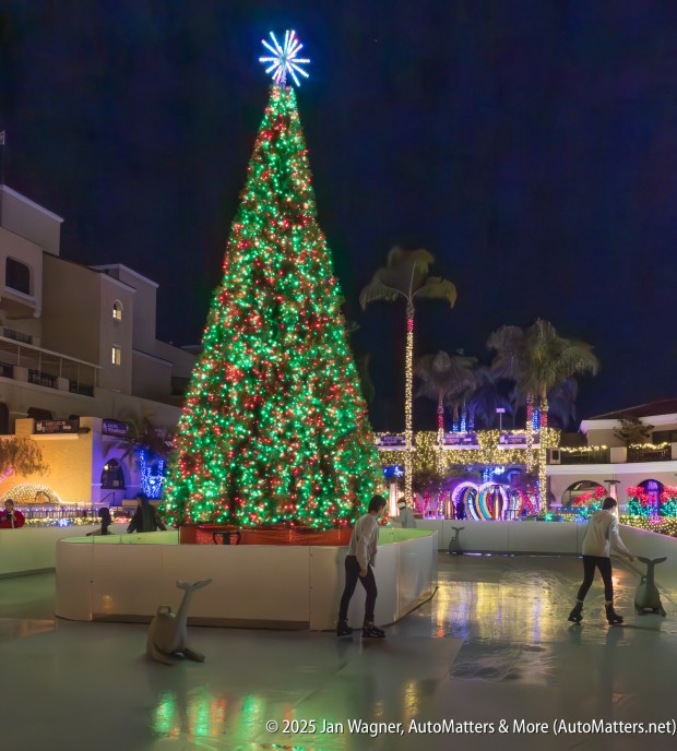 Glice skating rink(Jan Wagner)