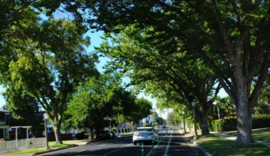 Fresno bike program secures state grant for safety education