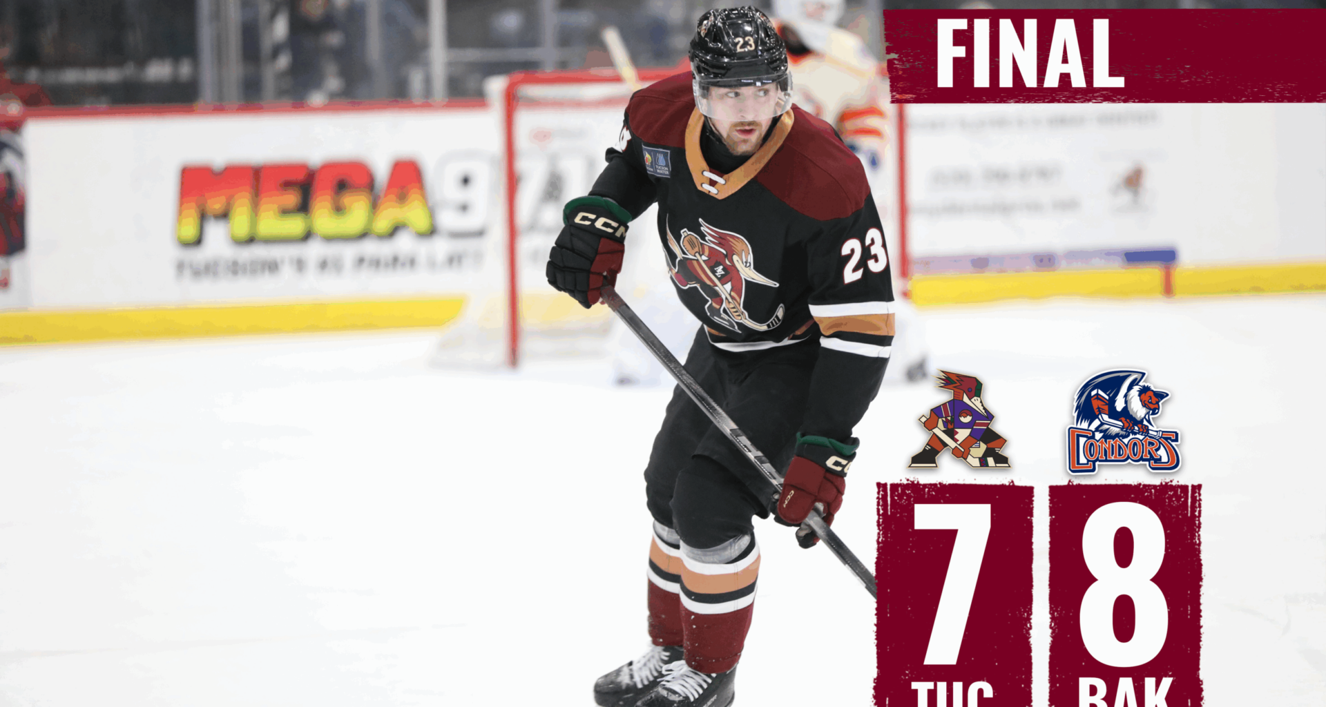 Tucson Roadrunners Hockey