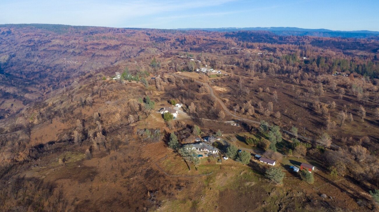 An aerial view of buildings among trees on a hilltop