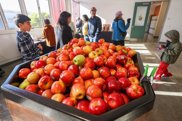 Visitors tour the new Alameda Food Bank location during the open house in Alameda, Calif., on Saturday, Dec. 13, 2025. (Ray Chavez/Bay Area News Group)