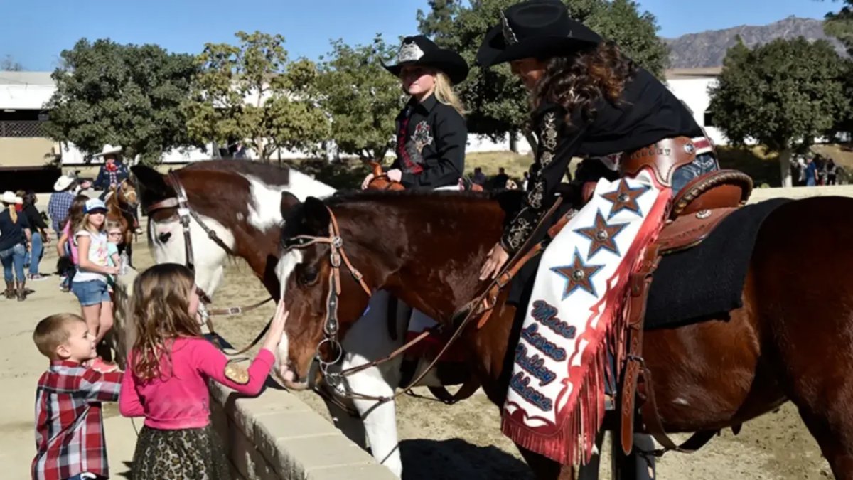 Admire the horses of the Rose Parade at the pomp-filled ‘Equestfest’ – NBC Los Angeles