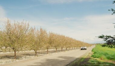 26 Things to Do in Fresno County in 2026