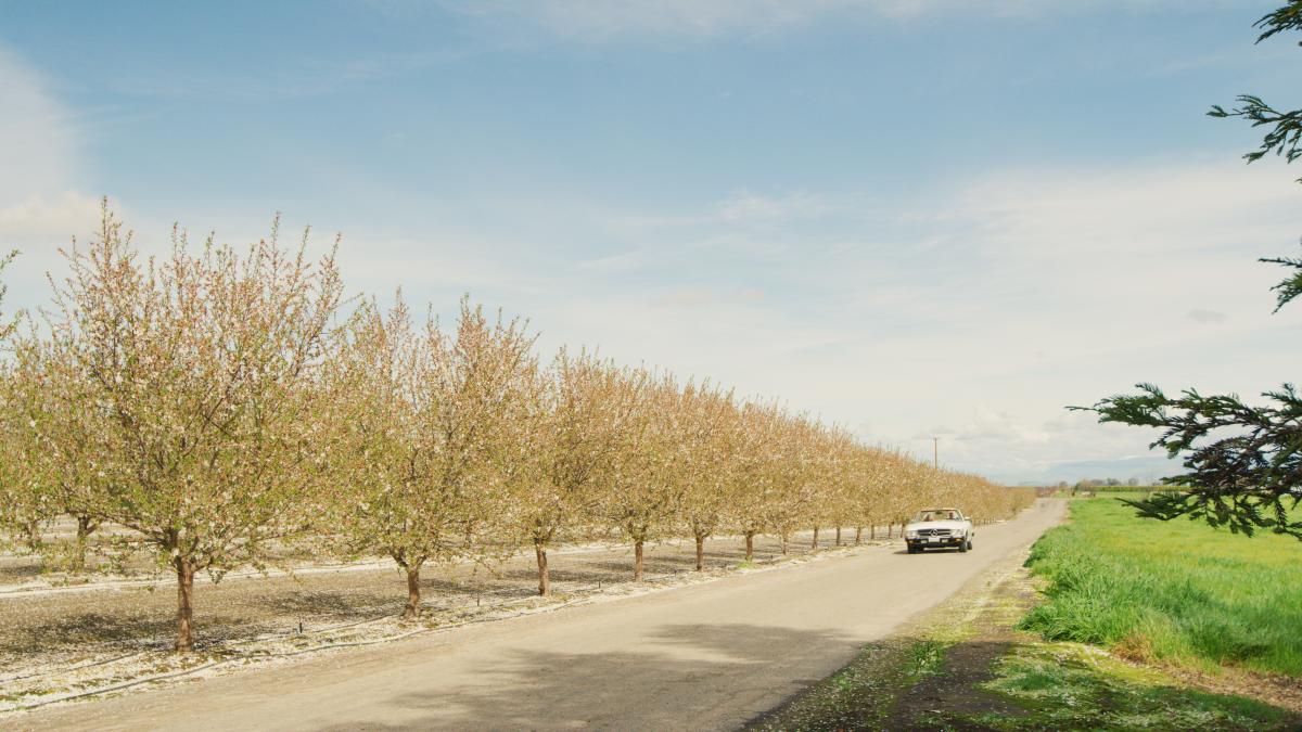 26 Things to Do in Fresno County in 2026