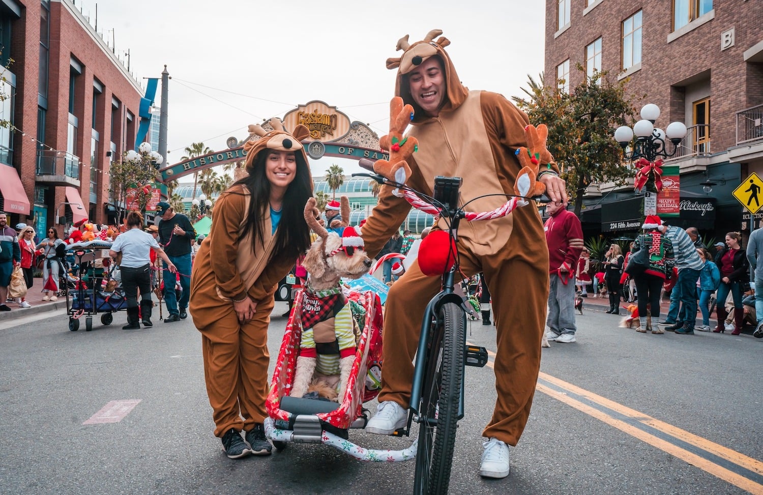 Fun events and things to do in San Diego this weekend December 10-14, 2025 featuring the Gaslamp Pet Parade