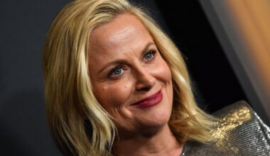 Amy Poehler swears on flight in front of baby, fights with costar – NBC Los Angeles