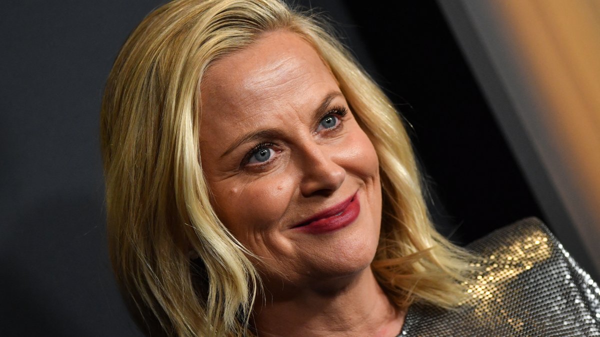 Amy Poehler swears on flight in front of baby, fights with costar – NBC Los Angeles