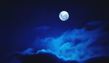 Take an enchanted ramble by the light of the Wolf Moon at LA Arboretum – NBC Los Angeles