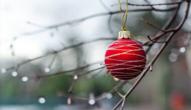 Soggy Christmas? Storm in store for SoCal next week – NBC Los Angeles