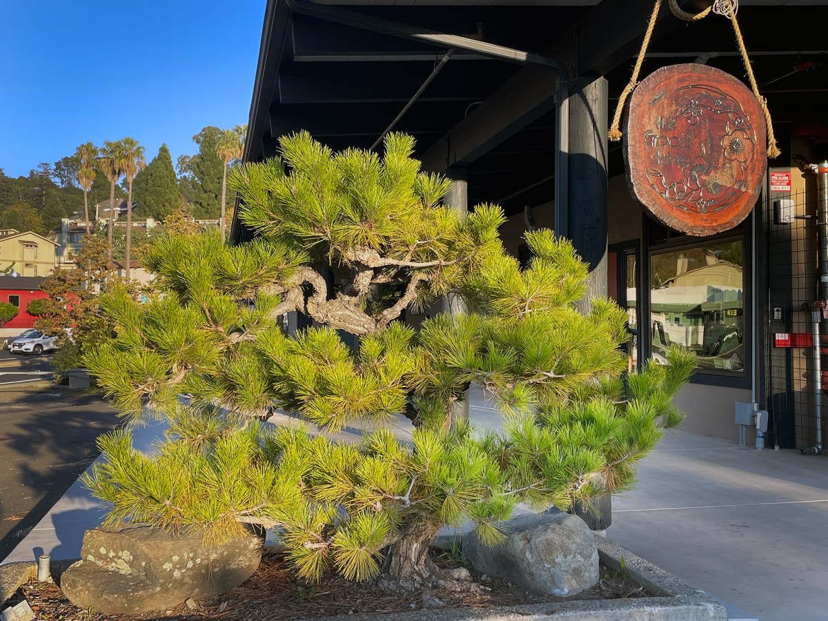 The winding, 8-year tale behind The Good Table, El Sobrante’s new pay-what-you-can cafe