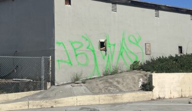 Section of University Avenue full of litter, adult businesses, marijuana odor