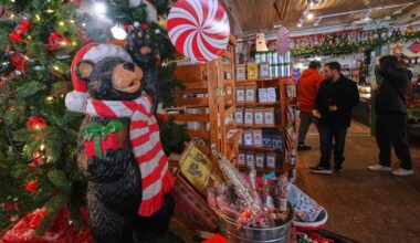 The early trends of 2025 shopping