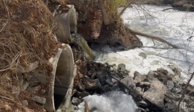 Local legislators press state to catch up to feds on Tijuana River pollution