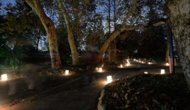 Claremont’s California Botanic Garden offers Luminaria Nights – Daily Bulletin