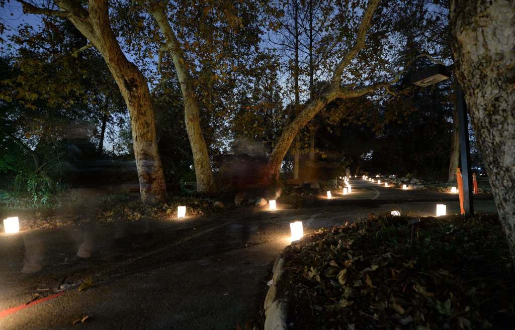 Claremont’s California Botanic Garden offers Luminaria Nights – Daily Bulletin