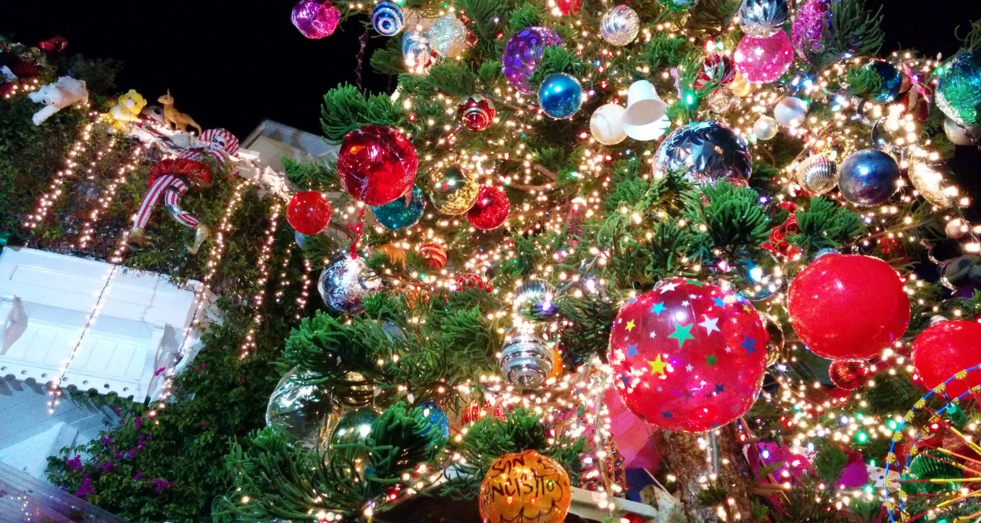 How to spend Christmas Eve in San Francisco