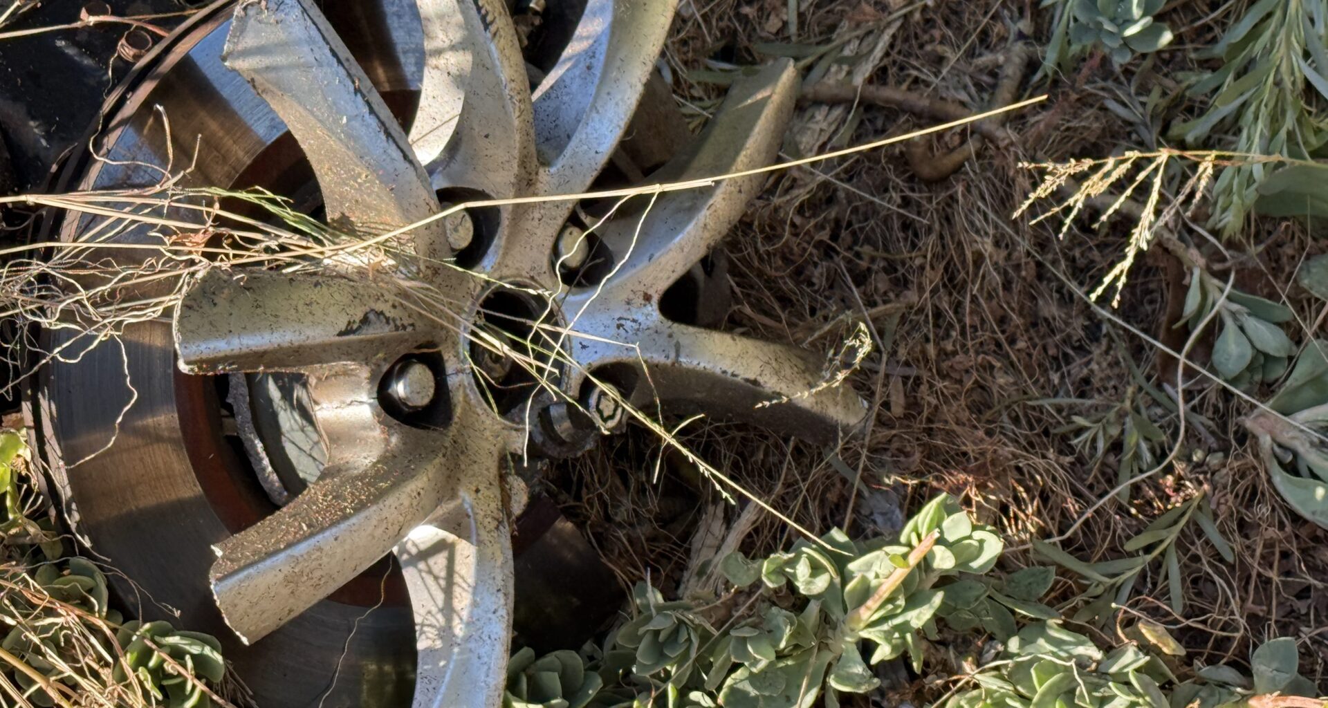 Driver charged in Marvin Boomer death will ask to exit jail for mental health care