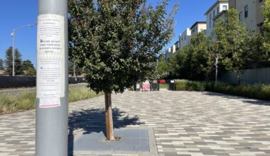 Months after the Nuevo Dog Park in Santa Clara was closed, there are still no answers but there might be a link to Los Angeles County.