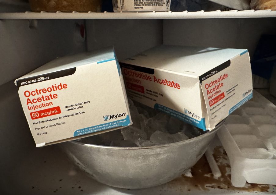 Two boxes of Octreotide Acetate Injection 50 mcg/mL by Mylan are stored on top of a metal bowl of ice in a freezer next to an ice cube tray.
