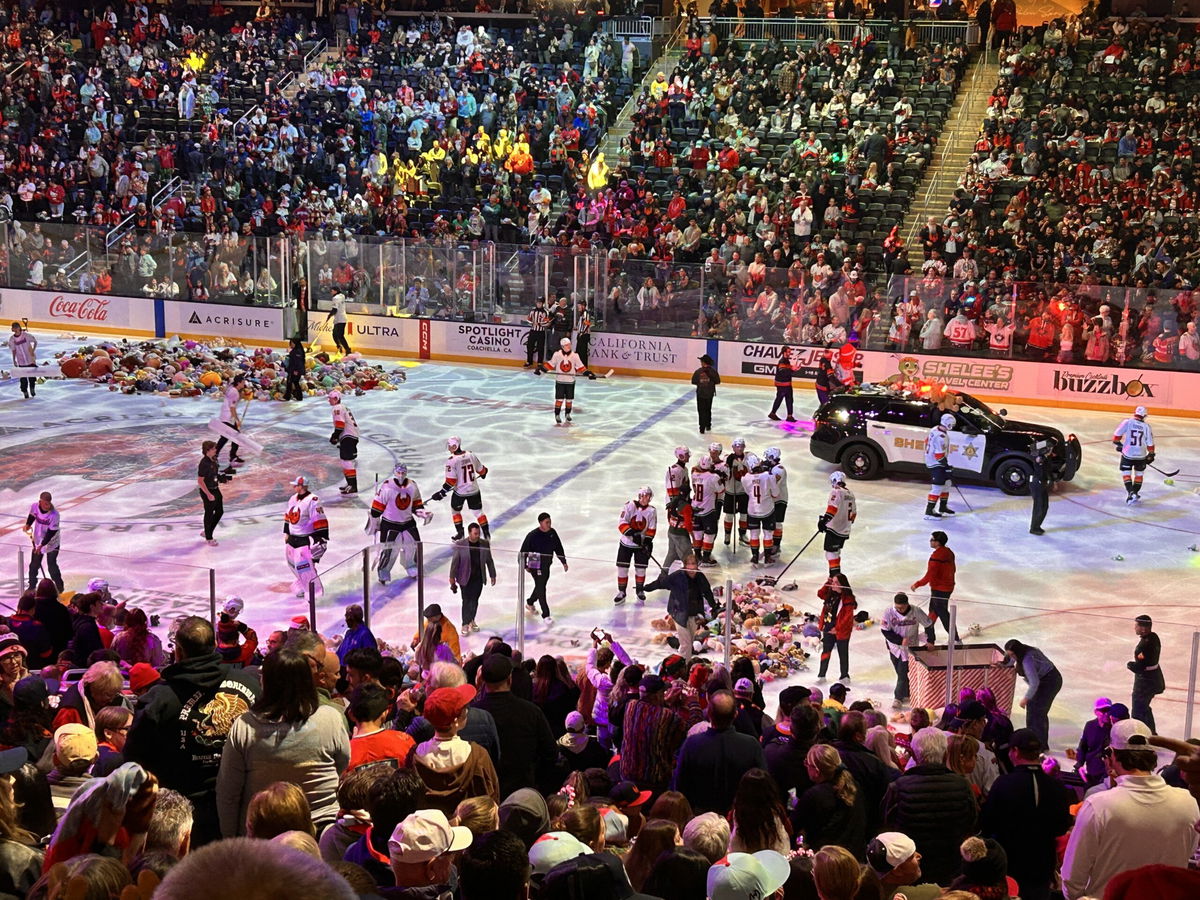 Firebirds fall 5-4 in overtime to Condors on Teddy Bear Toss Night