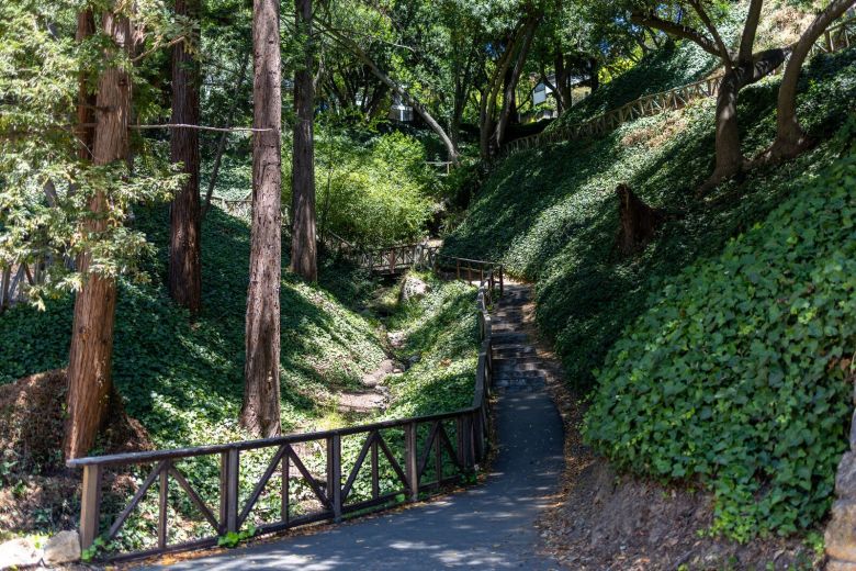 Path wends through the park