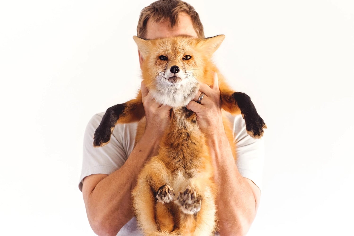 San Diego wildlife nonprofit Judith A. Bassett Canid Education & Conservation Center featuring a fox