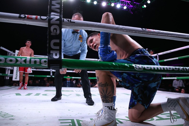 Boxing match. (Photo courtesy Bash Boxing and 555 Media)