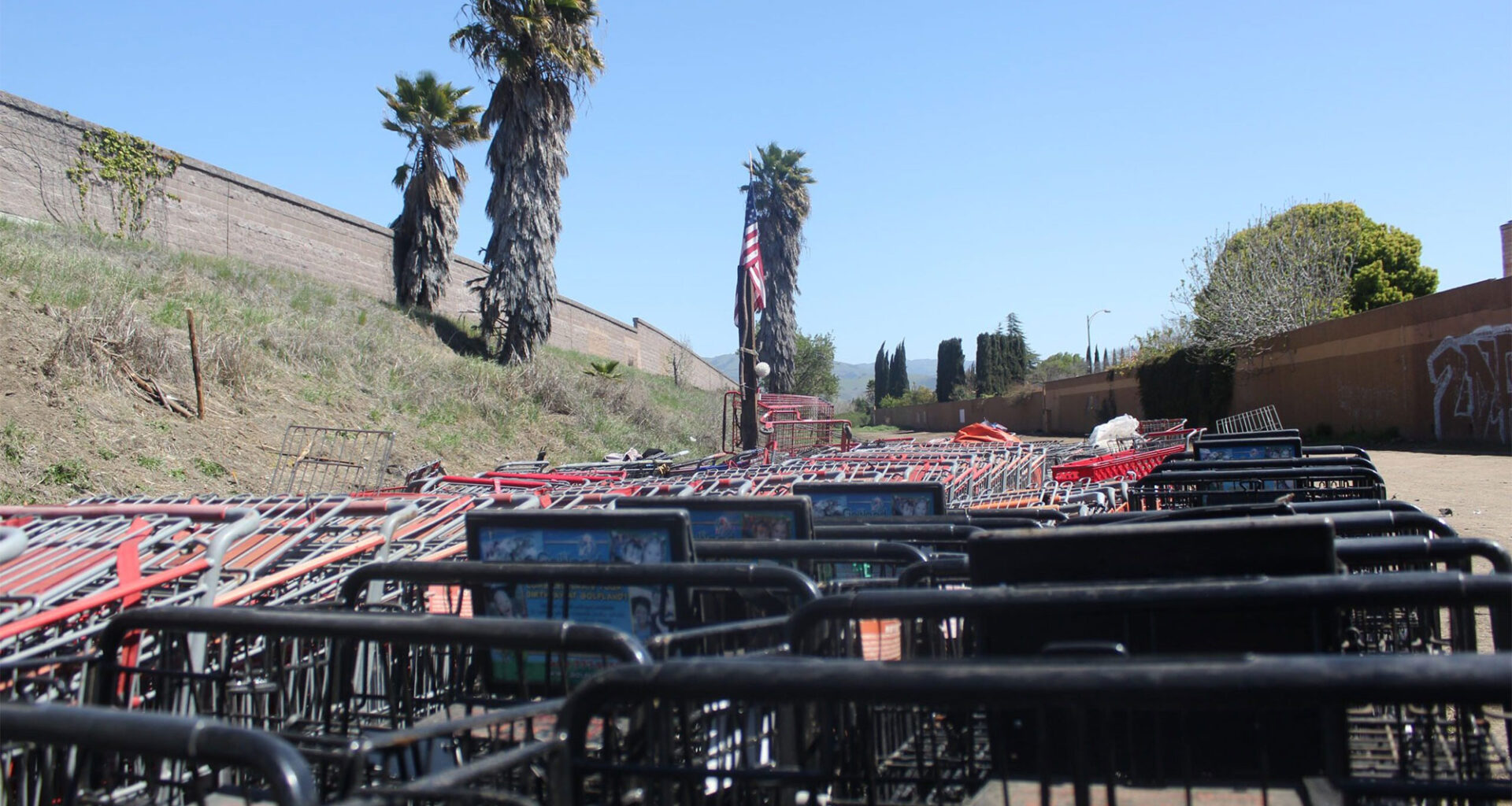 Putting the cart before the cost? San Jose shopping cart crackdown could get pricey