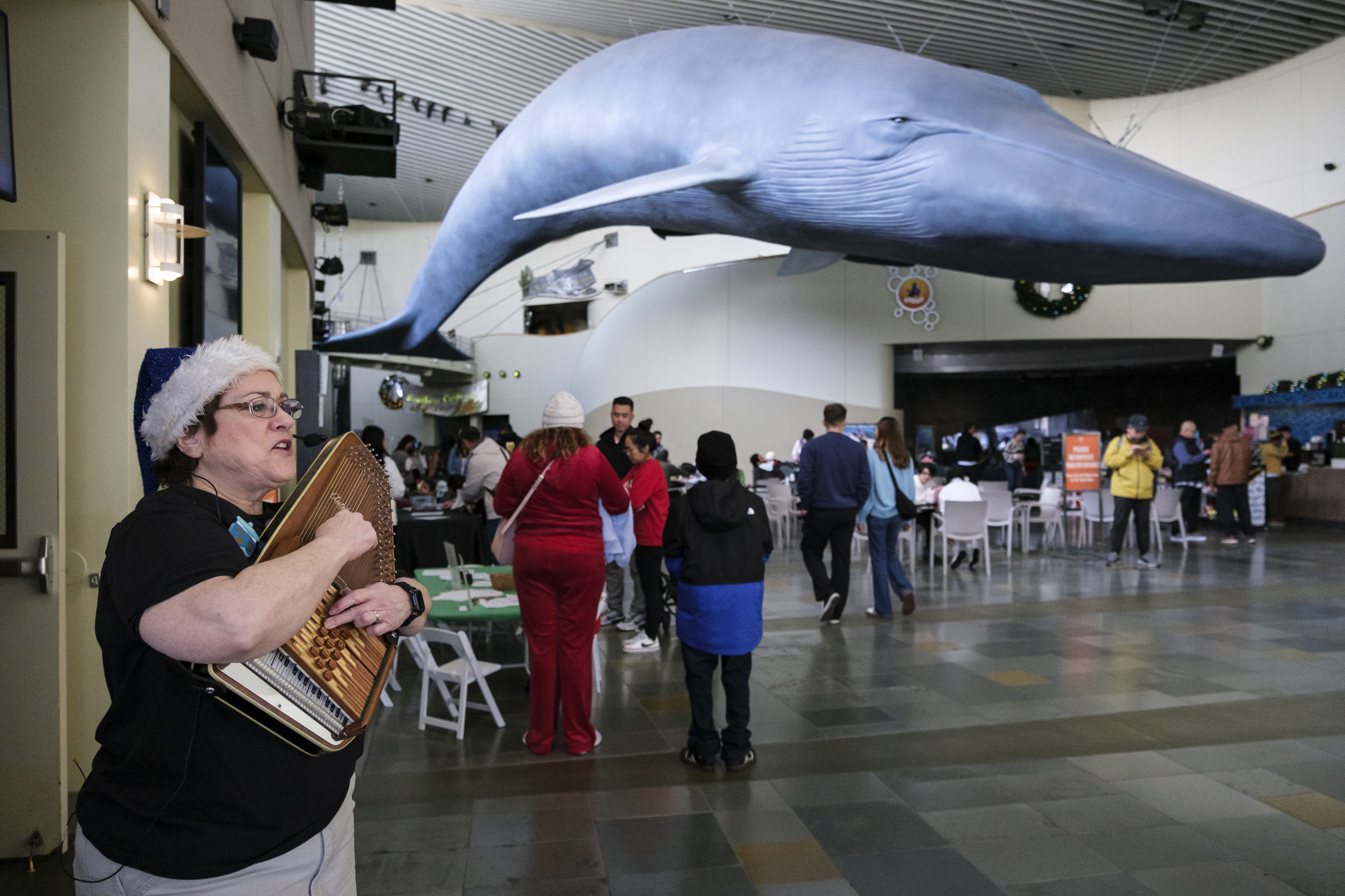 Maureen Lawrence plays an autoharp to draw in aquarium visitors...