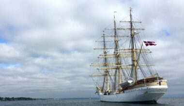 Long Beach selected as Denmark’s base of operations, team house for 2028 Summer Olympics – Press Telegram