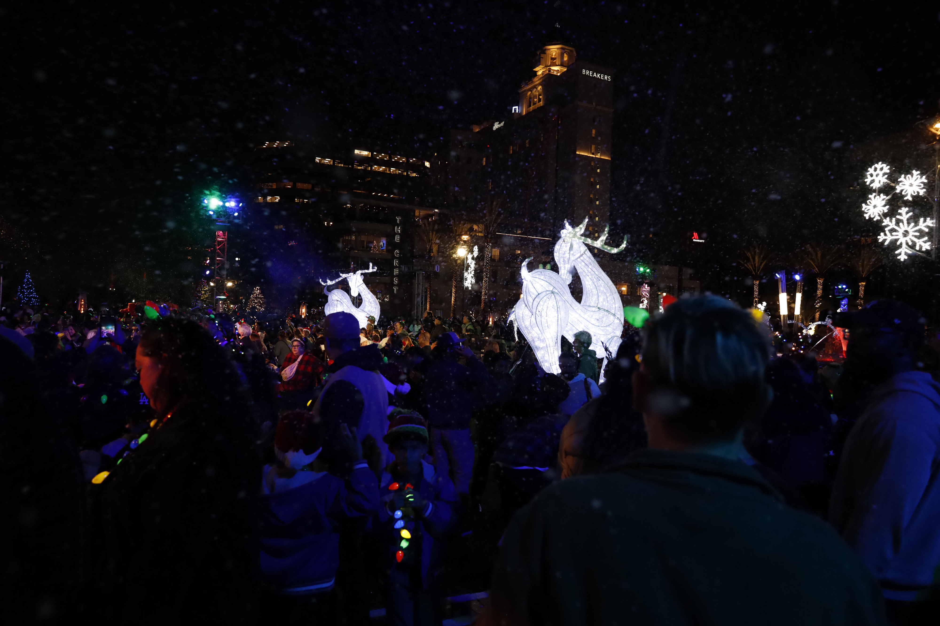The large crowd at the Long Beach tree lighting ceremony...