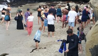 Cameras, viewing deck and new signs among S.D.’s ideas for La Jolla Cove access management – San Diego Union-Tribune