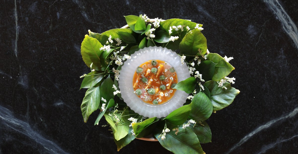 Lilo Review: How a Carlsbad Stunner Earned a Michelin Star Just 10 Weeks After Opening