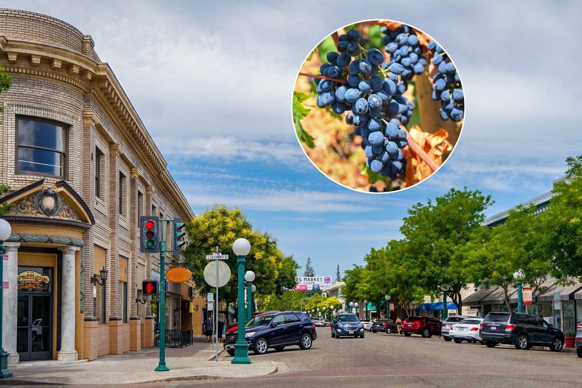 The 'Zinfandel Capital Of The World' Is 1.5 Hours From San Francisco — Named One Of The 'Best Small Towns In CA'