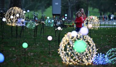 The 33 most stunning displays in the Bay Area