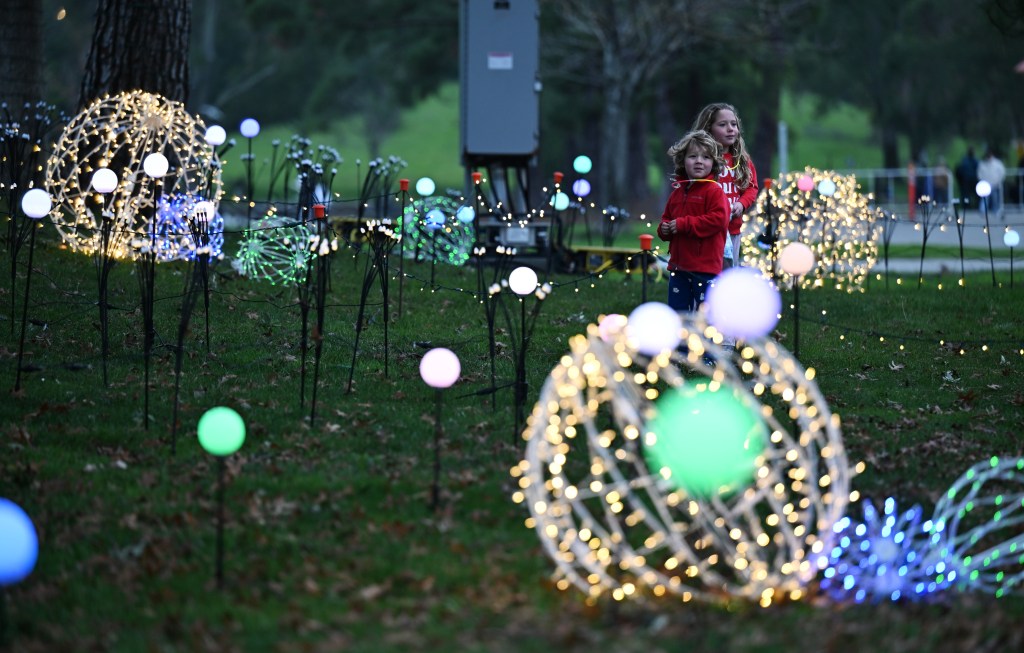 The 33 most stunning displays in the Bay Area