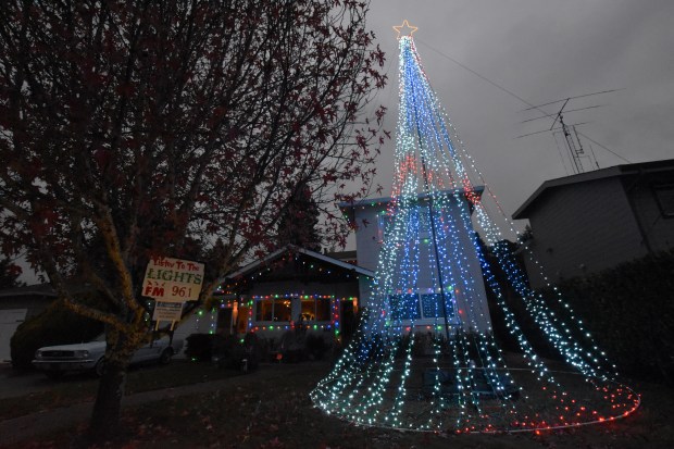 The Tam Valley Megatree runs through Jan. 1. (Sherry LaVars/Marin Independent Journal)