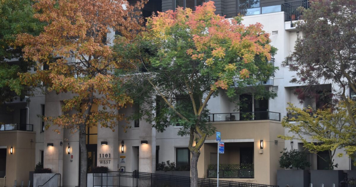 Earning $250K? Mountain View wants to help residents buy a home