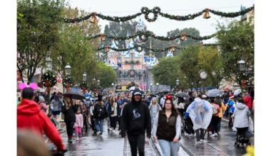 A Christmas wish list from a theme park fan – Orange County Register