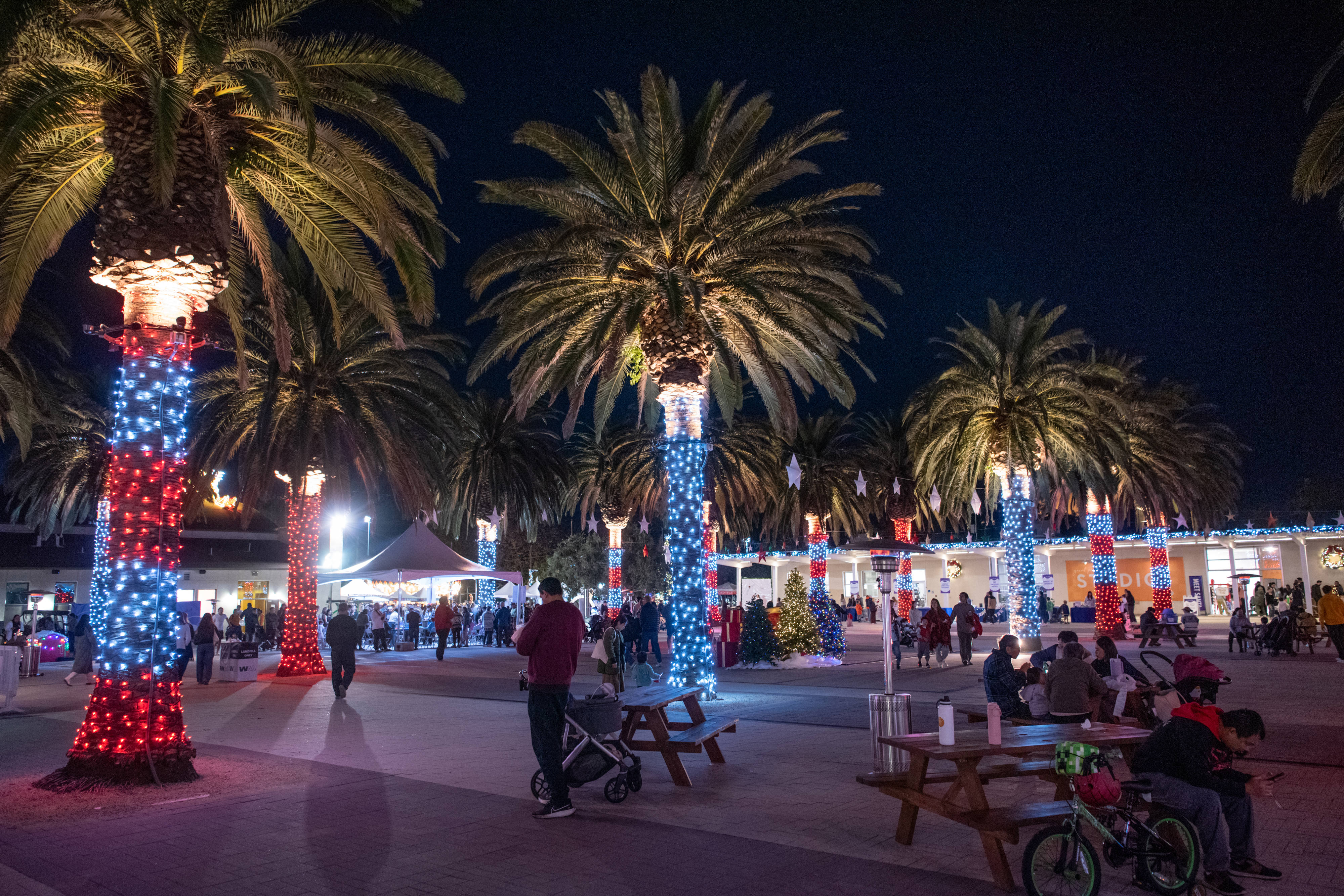 Park-goers visit game booths and craft stations in the Great...