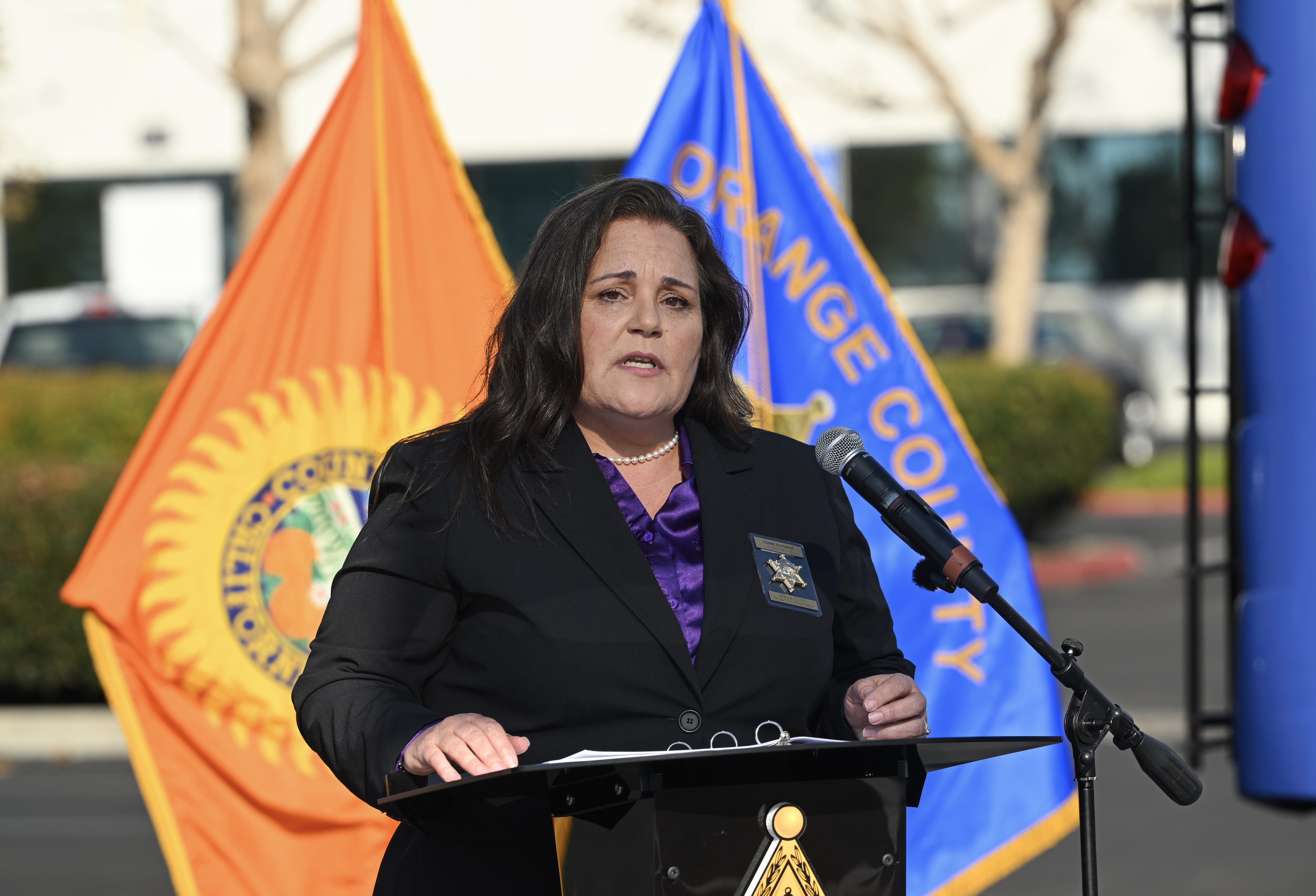 Division DIrector Connie Schonert speaks at an event where the...