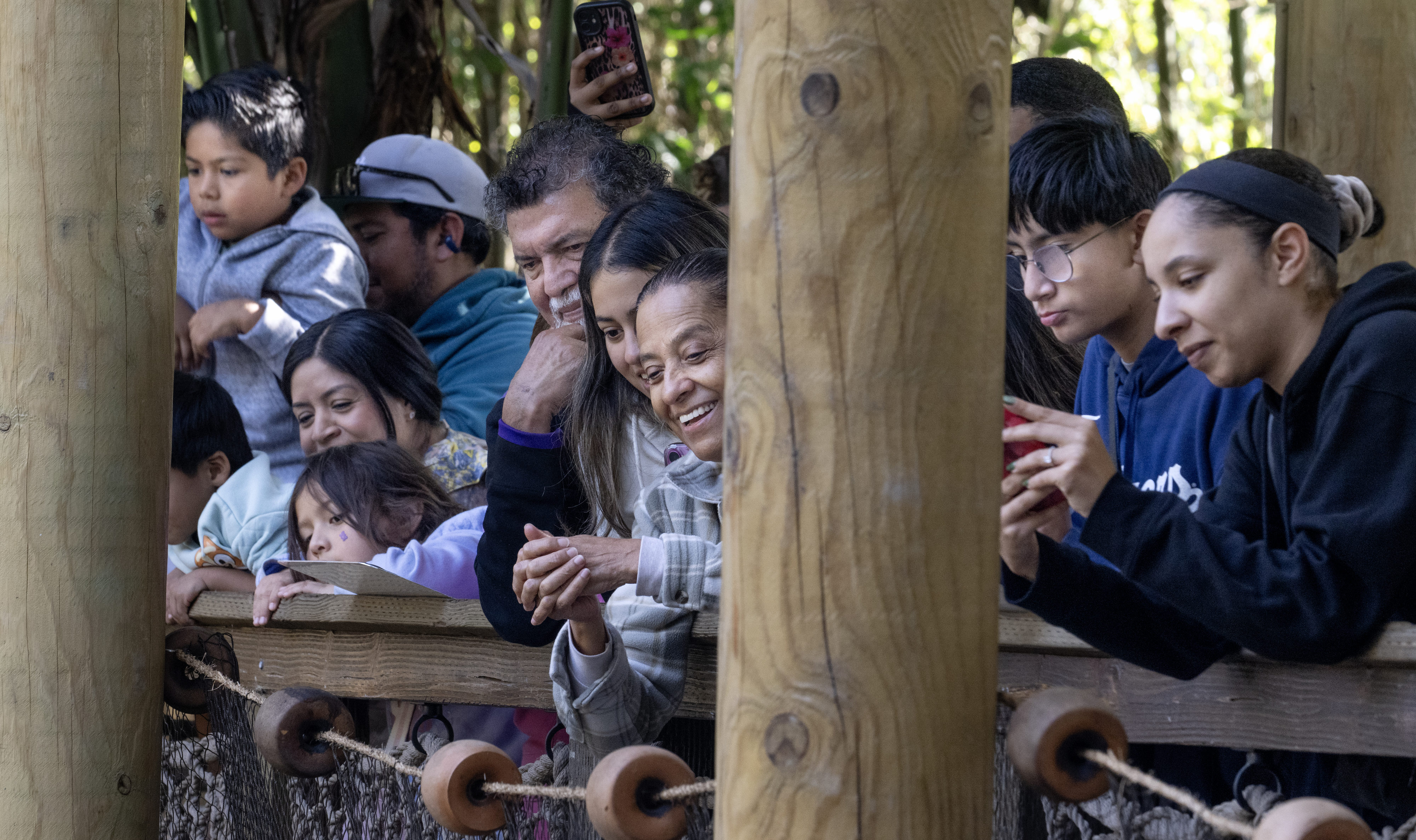Visitors to the Santa Ana Zoo watch two of its...