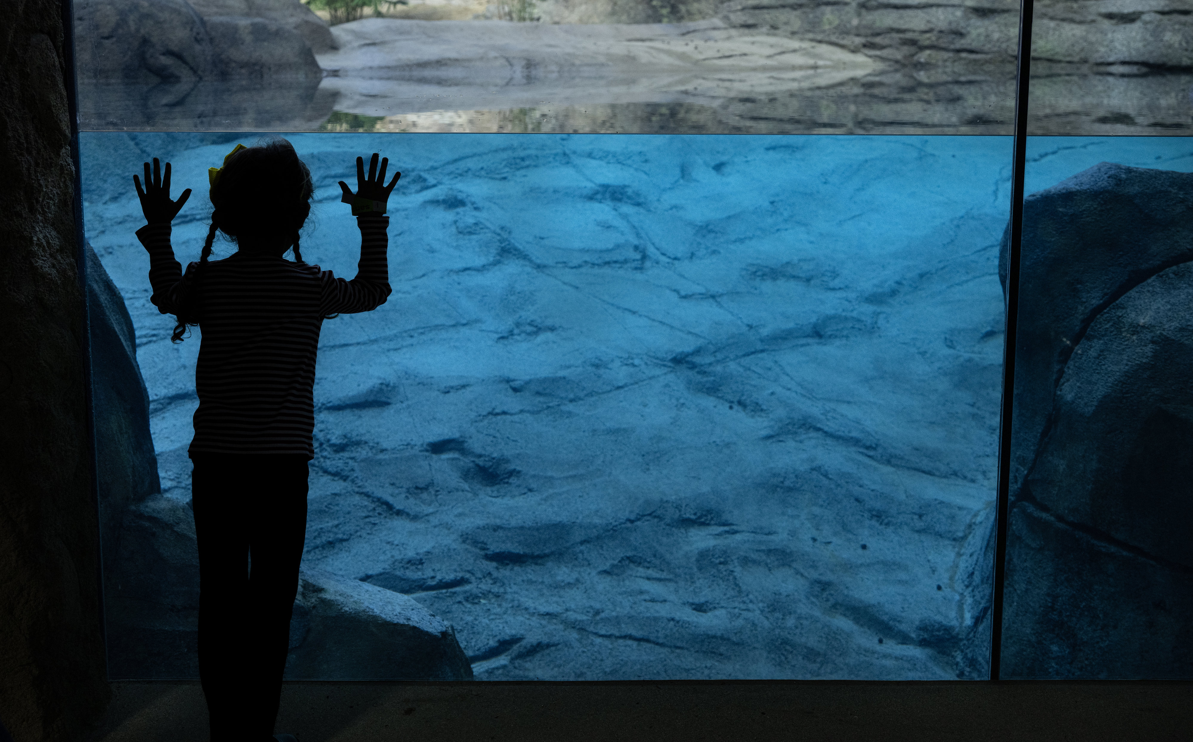Six-year-old Alice Vreeland of Costa Mesa, looks for Asian small-clawed...
