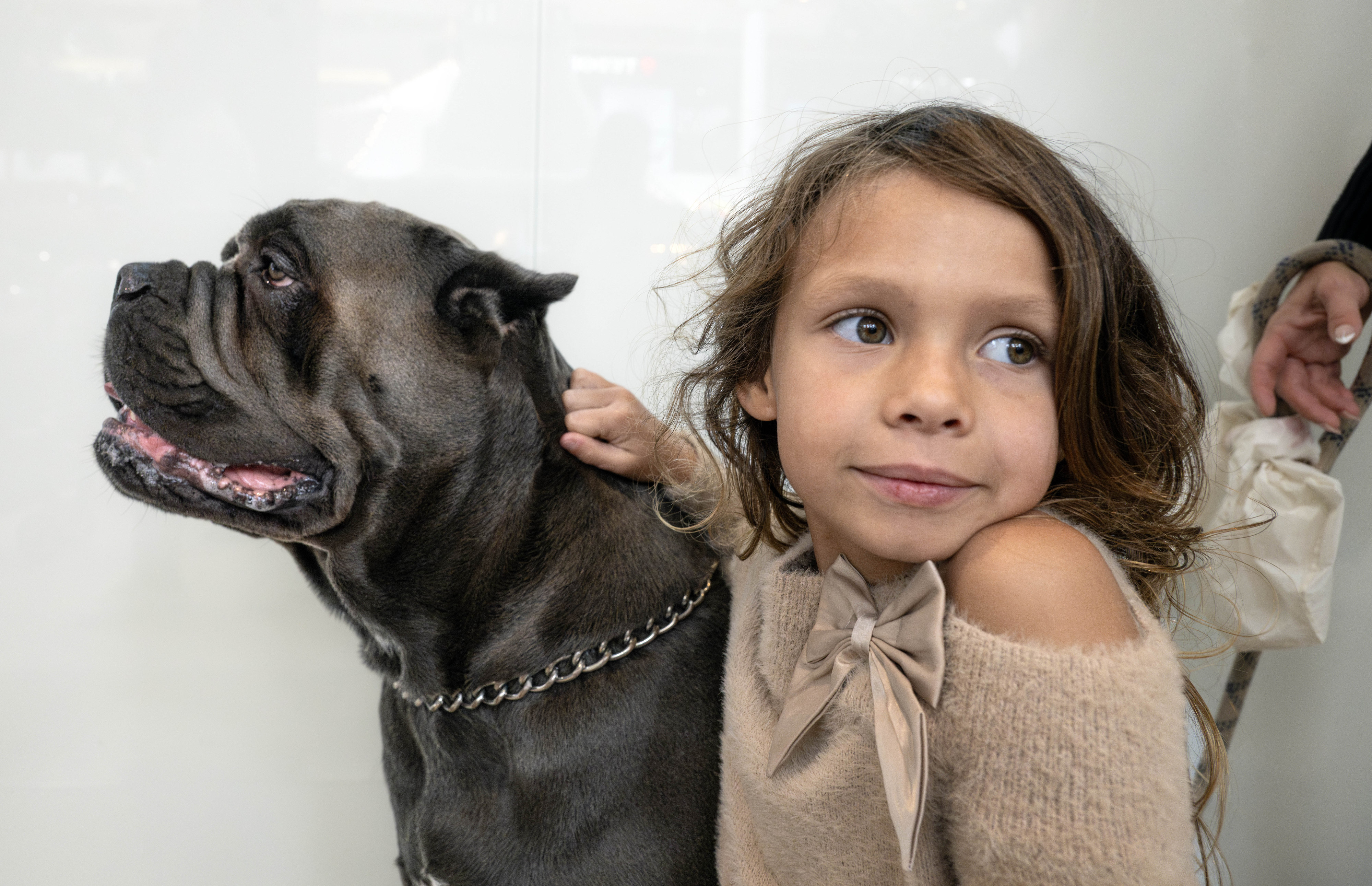 Six-year-old Moa Dern and her 140-pound cane corso, Mack Butterfly,...