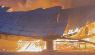 Oakland Tree Farm makes full return after shop burned down in 2024